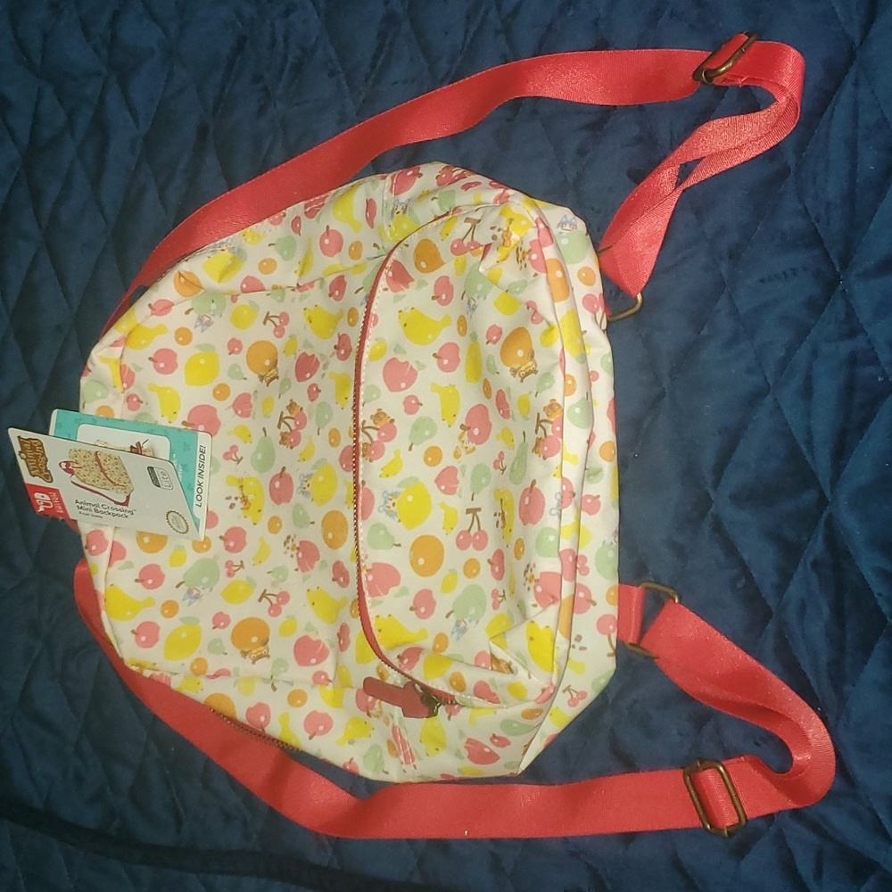 Ninetendo Switch Backpack